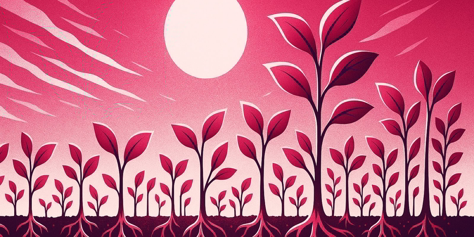 Leading with SUN: How to create an environment where new ideas flourish